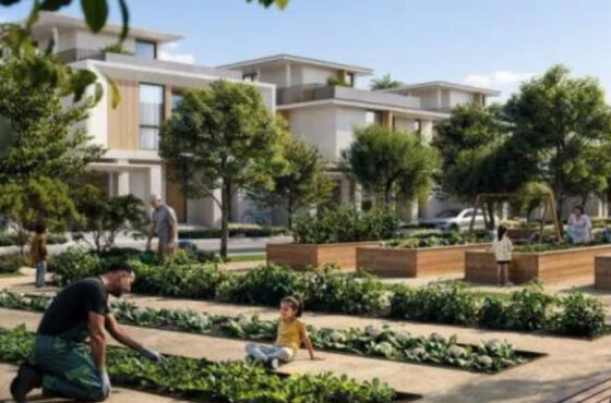 Explore Dubai, London, Miami & Turkey Markets